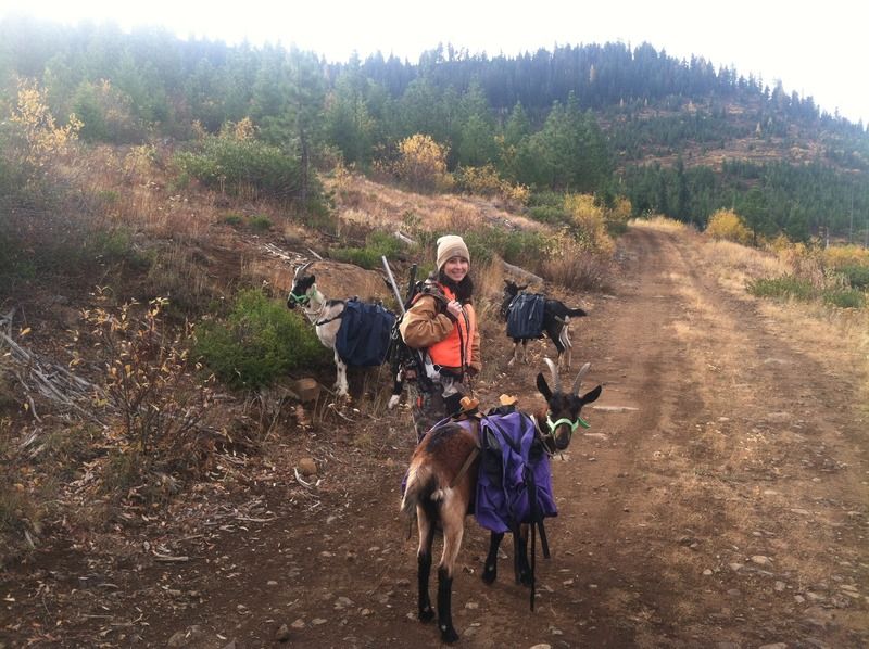 2016 Idaho Mule Deer Pack Goat Hunt! Hunt Talk